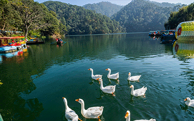 DELHI-TO-2N-NAINITAL-1N-MUSSOORIE-_pk33786_1.gif