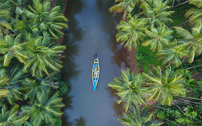 Kerala-3-Nights-4-Days-_pk35273_1.gif