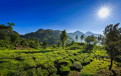 Kerala-4-Nights-5-Days-_pk35268_1.gif