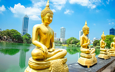 SRILANKA-05-NIGHTS_pk35150_1.gif