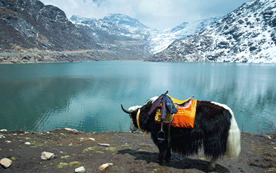 Best of Sikkim & Darjeeling