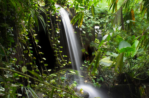 amazon-rainforest-waterfall.jpg