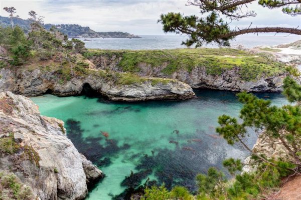 point_lobos_california (Medium).jpg