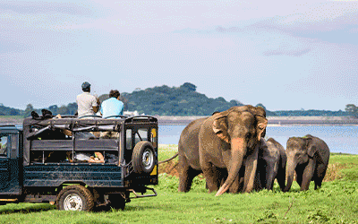 Magical Sri Lanka Magical Sri Lanka