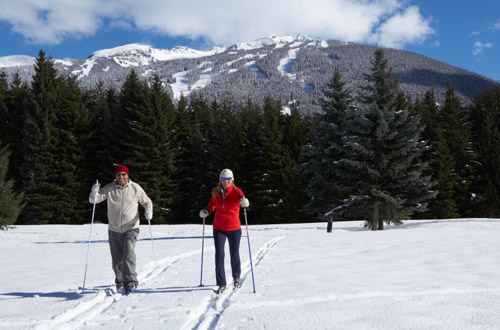 whistler-skiing.jpg