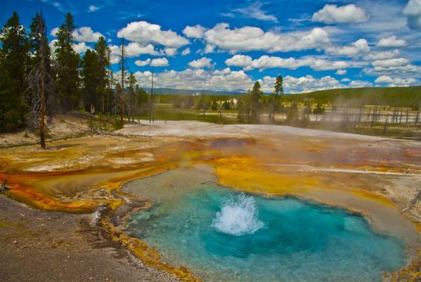 yellowstone_geyser (Medium).jpg