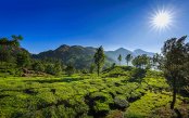 Kerala-4-Nights-5-Days-_pk35268_1.gif
