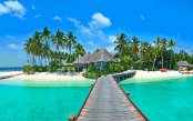 MALDIVES_pk33772_1.gif