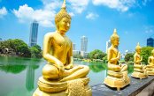 SRILANKA-05-NIGHTS_pk35150_1.gif